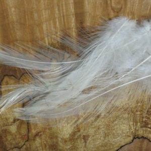 Saddle Hackles-Loose